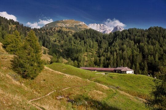 Tour image 5